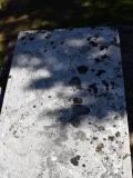 image of grave number 766207